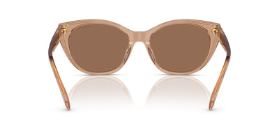 Ralph by Ralph Lauren RA5324U Shiny Transparent Brown/Brown #colour_shiny-transparent-brown-brown