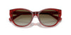 Ralph by Ralph Lauren RA5324U Shiny Transparent Burgundy/Brown Gradient #colour_shiny-transparent-burgundy-brown-gradient