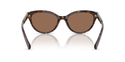 Ralph by Ralph Lauren RA5326U Shiny Dark Havana/Brown #colour_shiny-dark-havana-brown