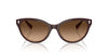 Ralph by Ralph Lauren RA5326U Solid Brown Milky Brown/Brown Gradient #colour_solid-brown-milky-brown-brown-gradient