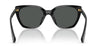 #colour_shiny-black-light-grey