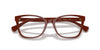 Ralph by Ralph Lauren RA7137U Shiny Brown Red #colour_shiny-brown-red