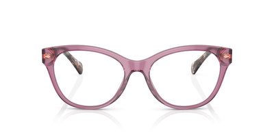 Ralph by Ralph Lauren RA7141 Shiny Transparent Violet #colour_shiny-transparent-violet