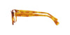 Ralph by Ralph Lauren RA7150 Shiny Light Brown Havana #colour_shiny-light-brown-havana