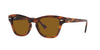 Ray-Ban RB0707S Striped Havana/Brown #colour_striped-havana-brown