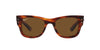 Ray-Ban Mega Wayfarer RB0840S Striped Havana/Brown Polarised #colour_striped-havana-brown-polarised