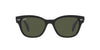 Ray-Ban RB0880S Black/Green #colour_black-green