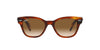 Ray-Ban RB0880S Striped Havana/Clear Gradient Brown #colour_striped-havana-clear-gradient-brown
