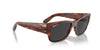 Ray-Ban Carlos RB0947S Striped Havana/Black Polarised #colour_striped-havana-black-polarised