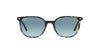 Ray-Ban Elliot RB2197 Yellow & Blue Havana/Blue Gradient Grey #colour_yellow-blue-havana-blue-gradient-grey