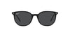 Ray-Ban Elliot RB2197 Black/Polarised Black #colour_black-polarised-black