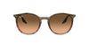 Ray-Ban RB2204 Striped Brown-Red/Pink-Black Gradient #colour_striped-brown-red-pink-black-gradient
