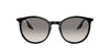 Ray-Ban RB2204 Black/Light Grey #colour_black-light-grey
