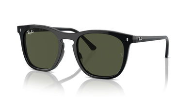 Ray-Ban RB2210 Black/Green #colour_black-green