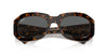 Ray-Ban Beate RB2212 Havana On Transparent Brown/Dark Grey #colour_havana-on-transparent-brown-dark-grey