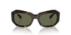 Ray-Ban Beate RB2212 Havana/Green Polarised #colour_havana-green-polarised