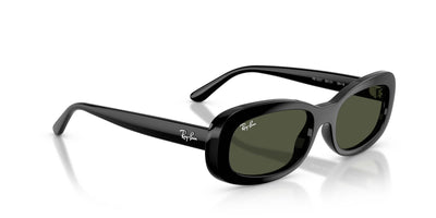 Ray-Ban RB2221 Black/Green #colour_black-green