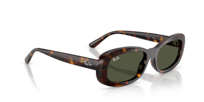 Ray-Ban RB2221 Havana/Green #colour_havana-green
