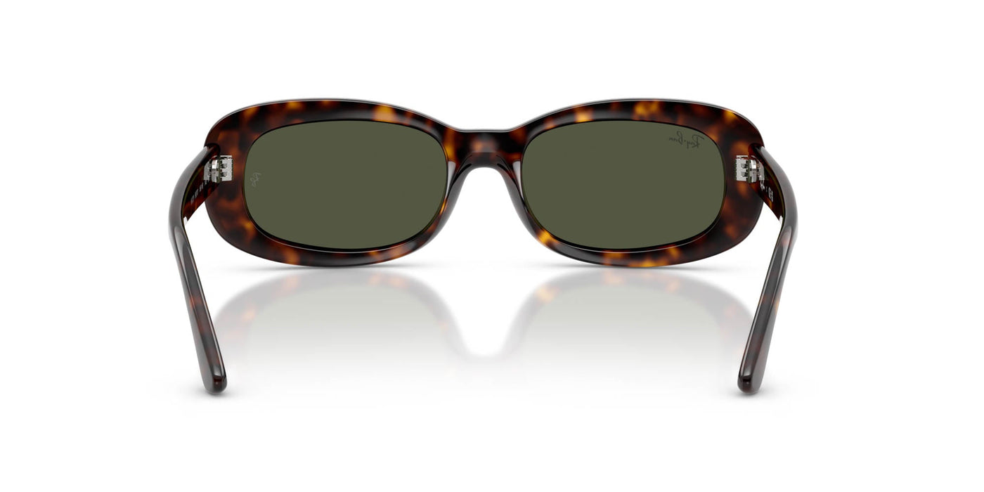 Ray-Ban RB2221 Havana/Green #colour_havana-green
