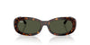 Ray-Ban RB2221 Havana/Green #colour_havana-green