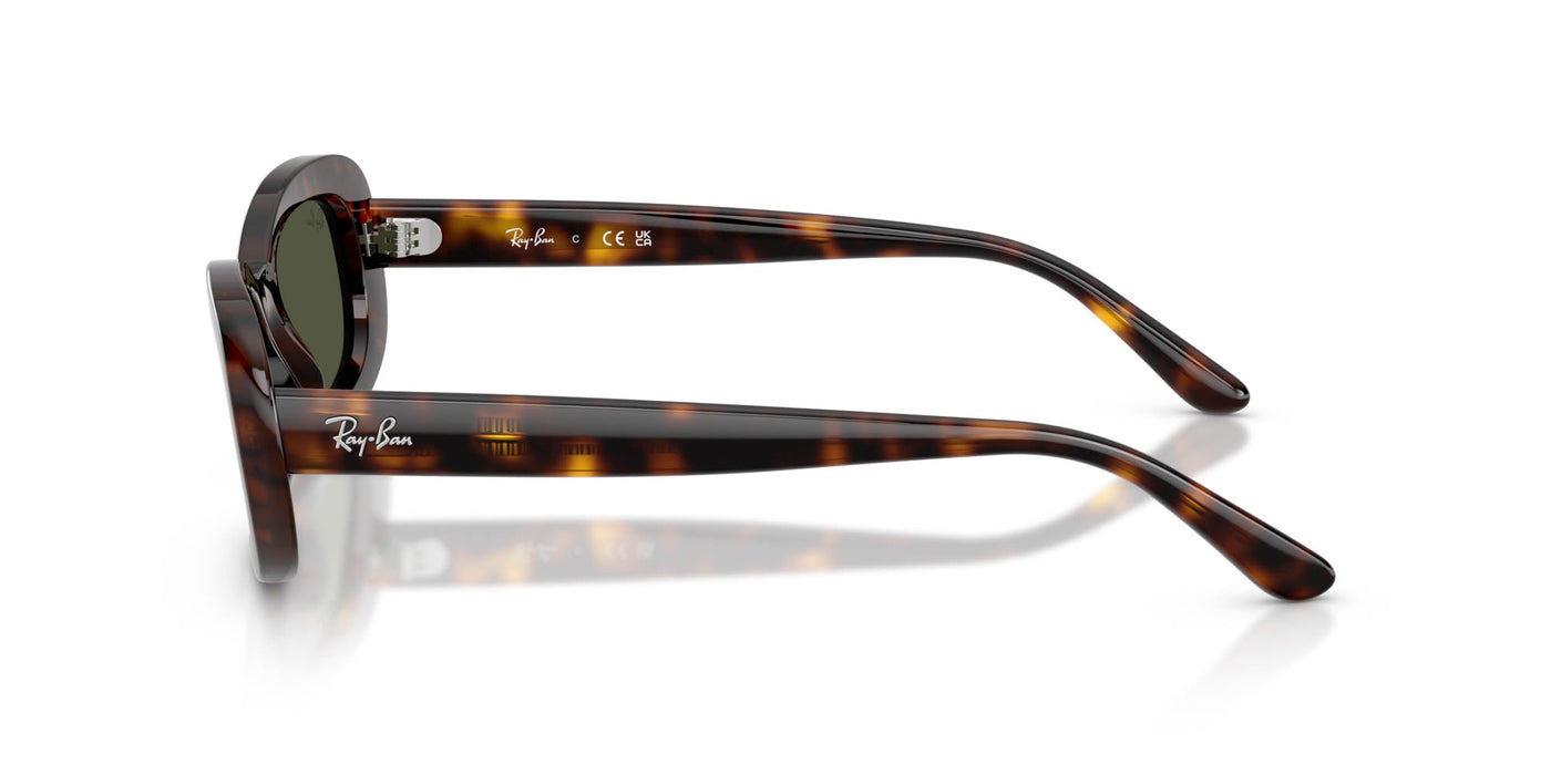 Ray-Ban RB2221 Havana/Green #colour_havana-green