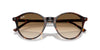 Ray-Ban Bernard RB2230 Havana/Clear Brown Gradient #colour_havana-clear-brown-gradient