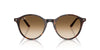 Ray-Ban Bernard RB2230 Havana/Clear Brown Gradient #colour_havana-clear-brown-gradient