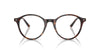Ray-Ban Bernard RB2230 Havana/Transitions 8 Grey #colour_havana-transitions-8-grey