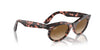 Ray-Ban Wayfarer Oval RB2242 Pink Havana/Clear-Brown #colour_pink-havana-clear-brown