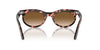 Ray-Ban Wayfarer Oval RB2242 Pink Havana/Clear-Brown #colour_pink-havana-clear-brown