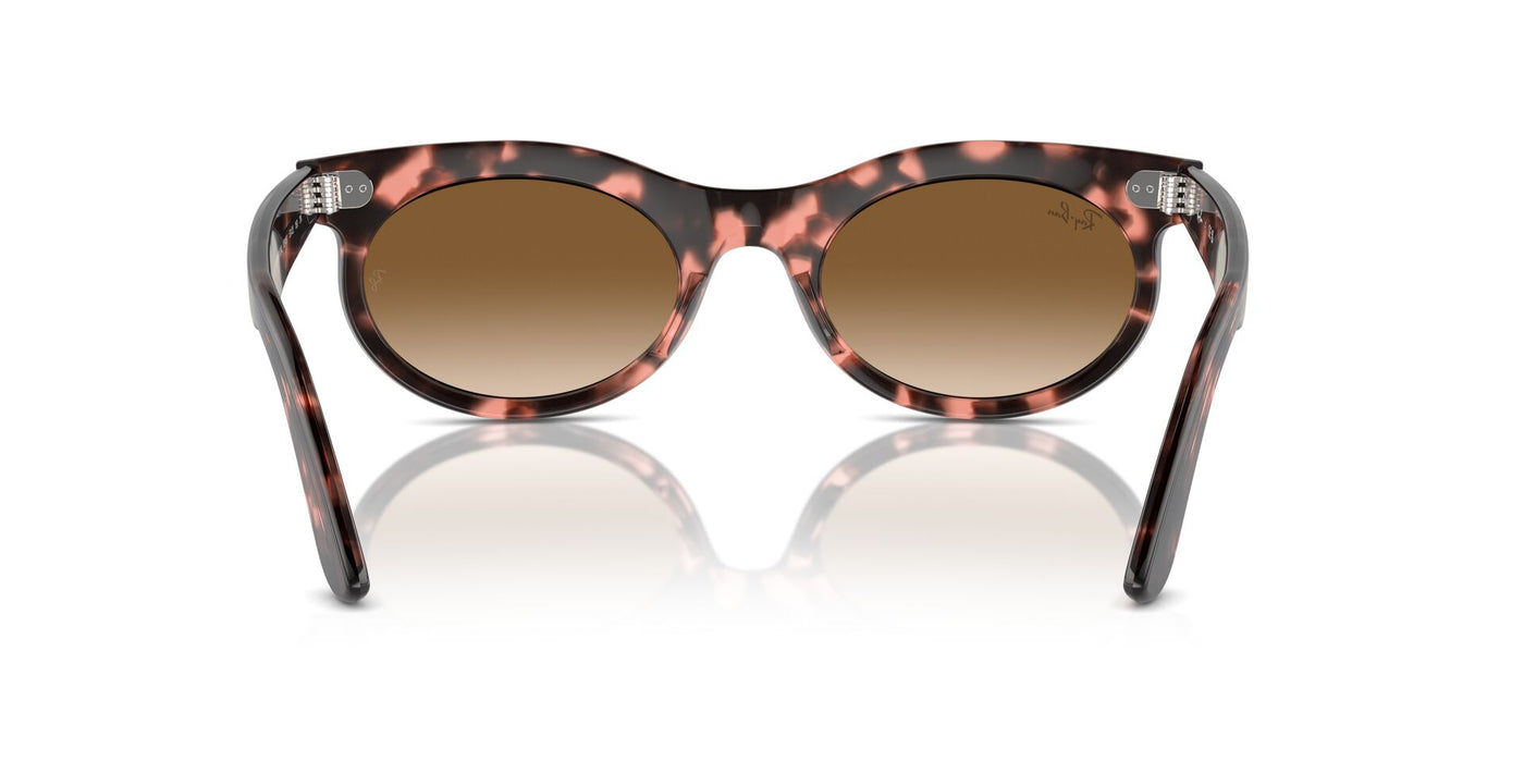 Ray-Ban Wayfarer Oval RB2242 Pink Havana/Clear-Brown #colour_pink-havana-clear-brown