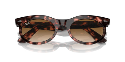 Ray-Ban Wayfarer Oval RB2242 Pink Havana/Clear-Brown #colour_pink-havana-clear-brown