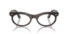 Ray-Ban Wayfarer Oval RB2242 Havana/Clear/Brown #colour_havana-clear-brown