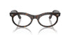 Ray-Ban Wayfarer Oval RB2242 Havana/Clear/Brown #colour_havana-clear-brown