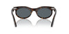 Ray-Ban Wayfarer Oval RB2242 Havana/Blue #colour_havana-blue