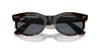 Ray-Ban Wayfarer Oval RB2242 Havana/Blue #colour_havana-blue
