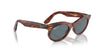 Ray-Ban Wayfarer Oval RB2242 Striped Havana/Dark Blue Polarised #colour_striped-havana-dark-blue-polarised