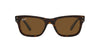 Ray-Ban Mr Burbank RB2283 Havana/Brown Polarised #colour_havana-brown-polarised
