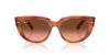 Ray-Ban Doreen RB2286 Red Havana On Transparent Multicolour/Pink Brown Gradient #colour_red-havana-on-transparent-multicolour-pink-brown-gradient