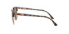 Ray-Ban Clubmaster RB3016 Havana/Brown #colour_havana-brown