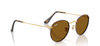Ray-Ban Round Metal RB3447 - Medium#colour_matt-havana-on-matt-arista-gold-brown