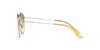 Ray-Ban RB3647N Brown-Brown #colour_brown-brown