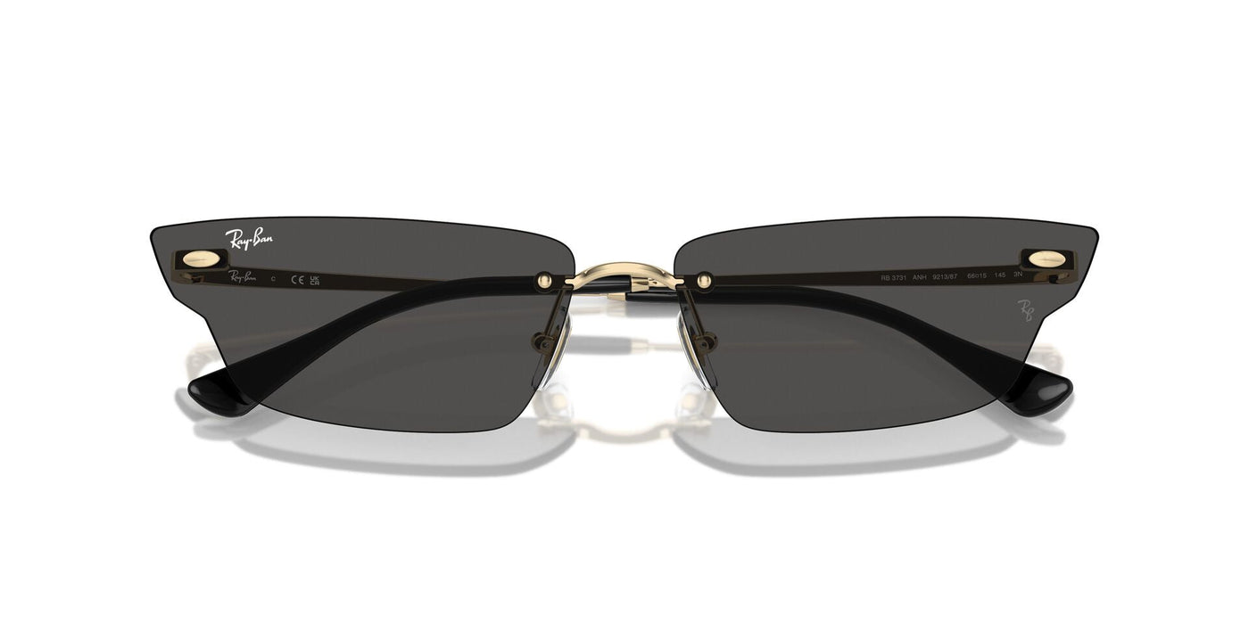 Ray-Ban Anh RB3731 Light Gold/Dark Grey #colour_light-gold-dark-grey