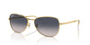 Ray-Ban RB3733 Gold/Blue Polarised #colour_gold-blue-polarised