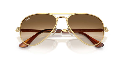 Ray-Ban Aviator Max RB3925 Arista Gold/Clear Brown Gradient #colour_arista-gold-clear-brown-gradient