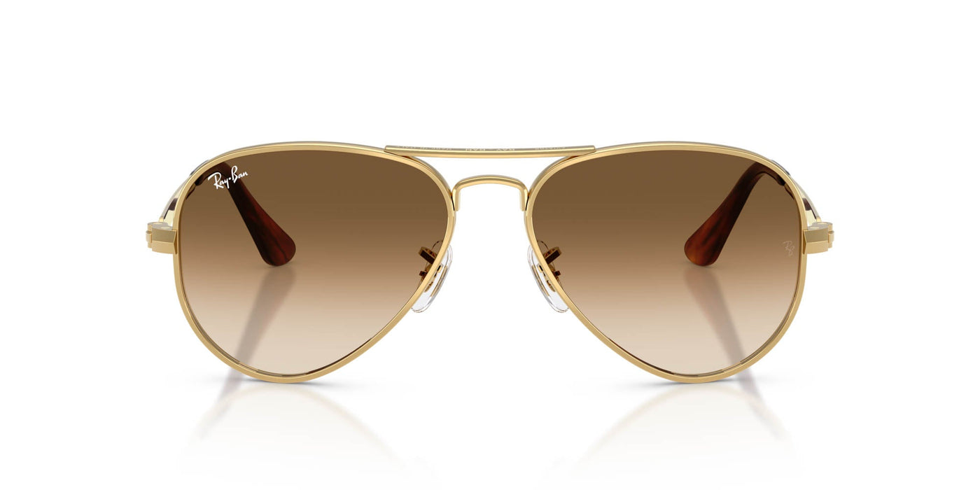 Ray-Ban Aviator Max RB3925 Arista Gold/Clear Brown Gradient #colour_arista-gold-clear-brown-gradient