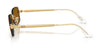 #colour_arista-gold-dark-brown-polarised