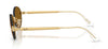 #colour_arista-gold-dark-brown-polarised