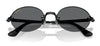 #colour_black-dark-grey-polarised