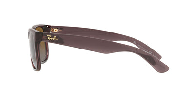 Ray-Ban Justin RB4165 Transparent Dark Brown/Brown Polarised #colour_transparent-dark-brown-brown-polarised